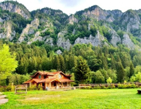 Wild Carpathian Retreat